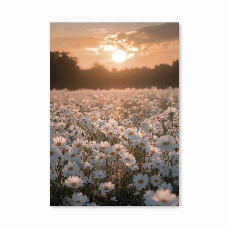 aesthetic-posters11294478
