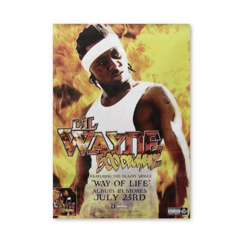 aesthetic-posters11299363
