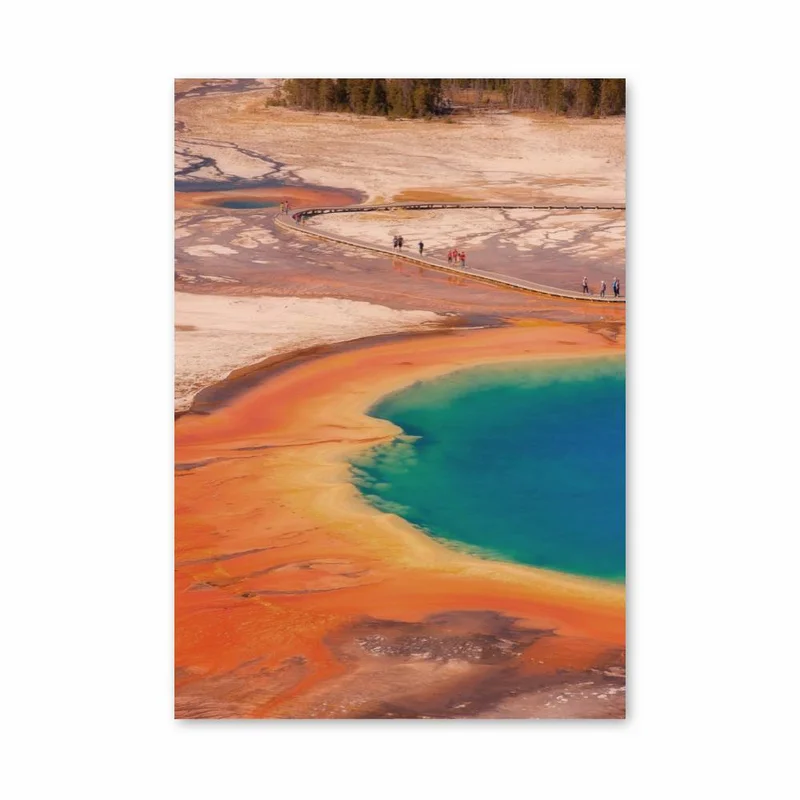 aesthetic-posters11305505