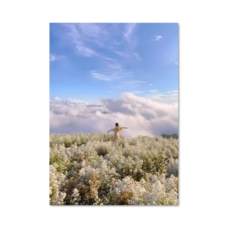 aesthetic-posters11325837