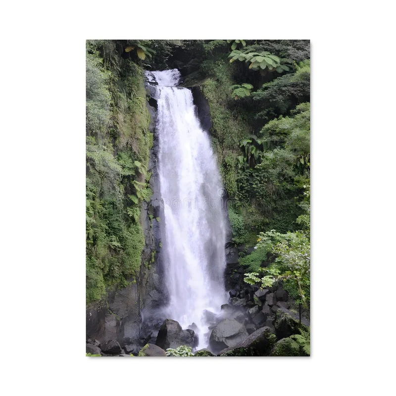 aesthetic-posters21545032