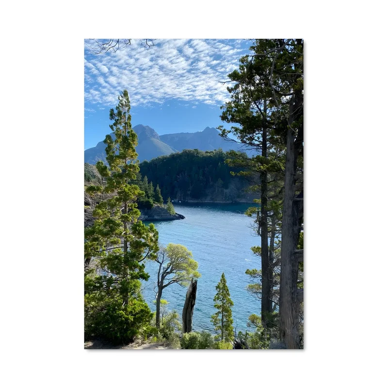 aesthetic-posters21568884