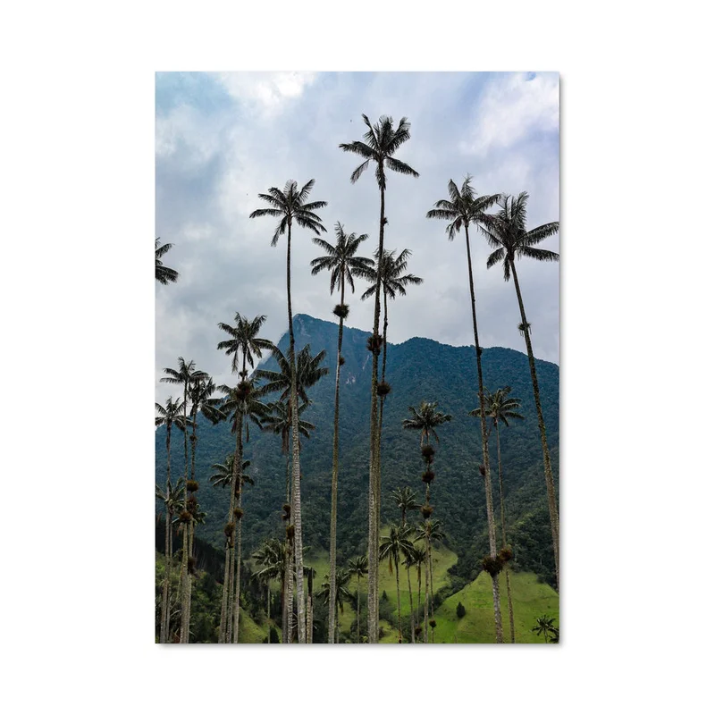 aesthetic-posters21575694