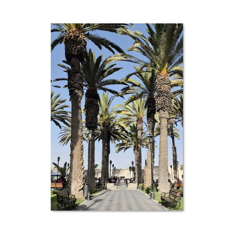 aesthetic-posters21580500