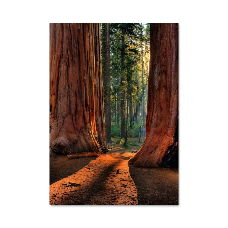 aesthetic-posters21623736