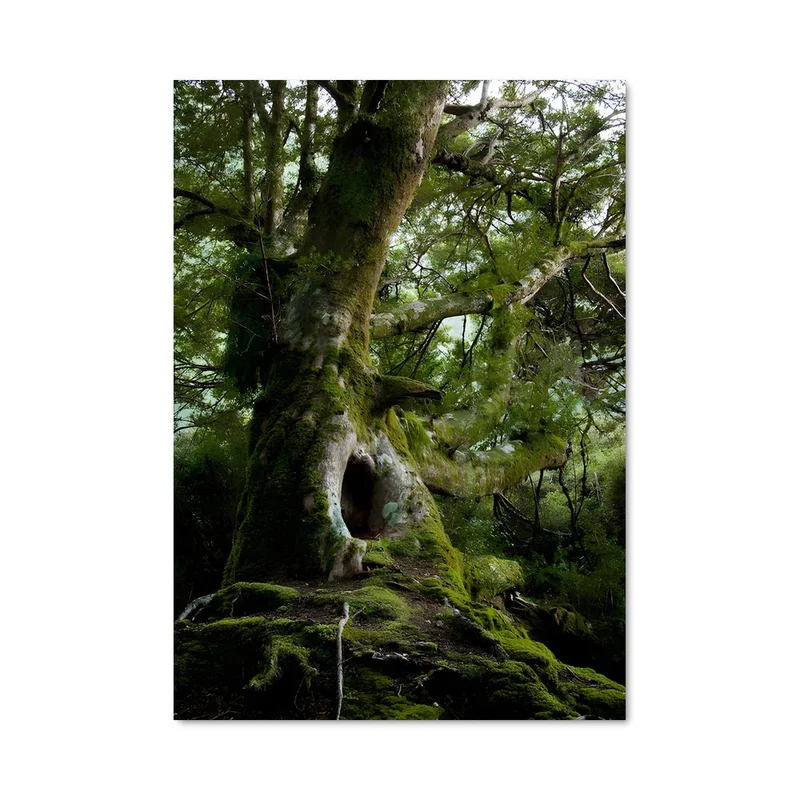 aesthetic-posters21624900