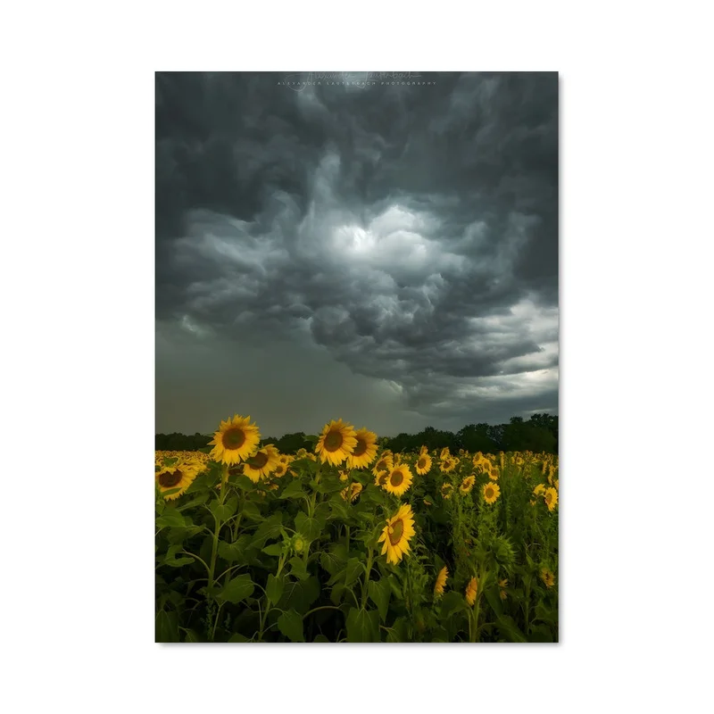 aesthetic-posters21674837
