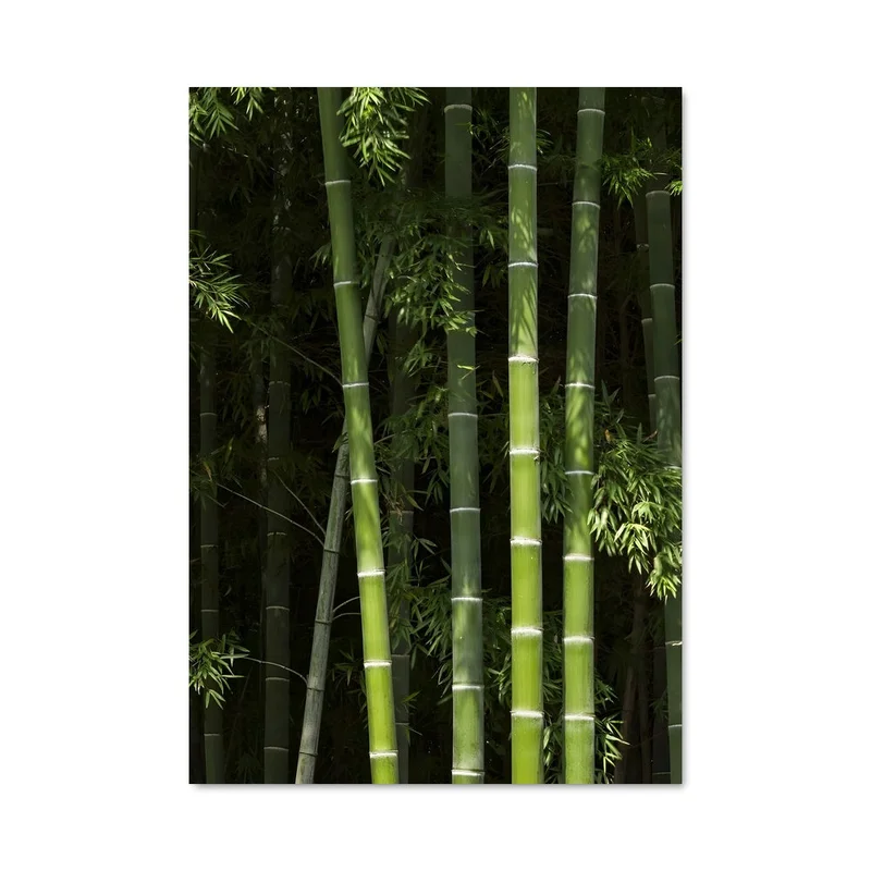 aesthetic-posters21687838