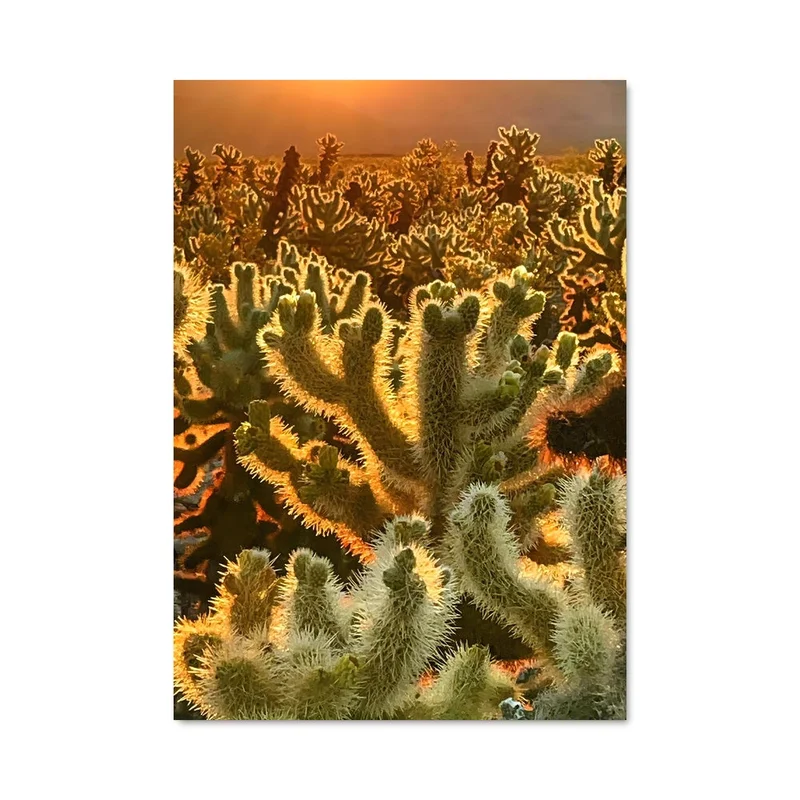 aesthetic-posters21689446