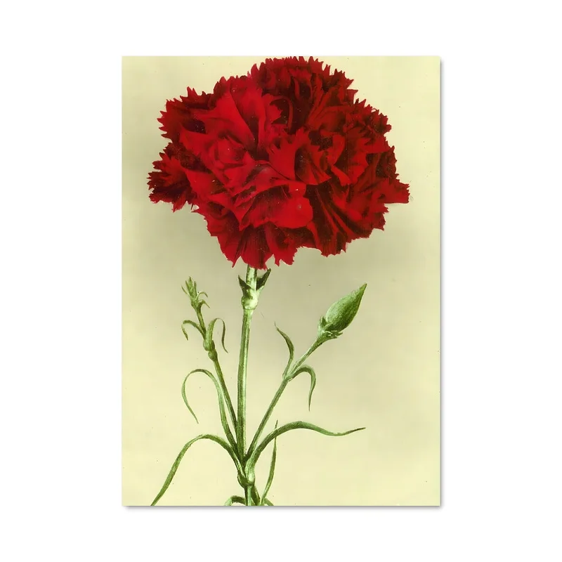 aesthetic-posters21695849