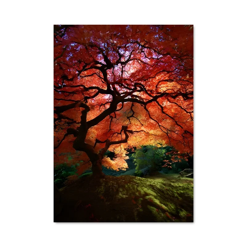 aesthetic-posters21716885