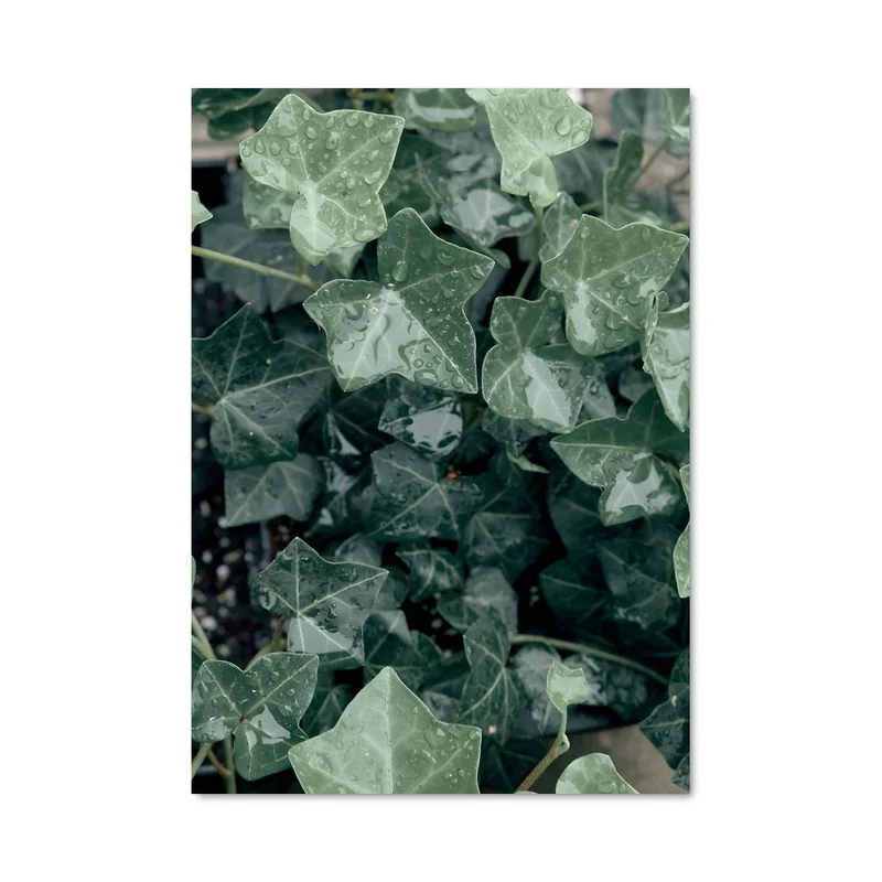 aesthetic-posters21721497