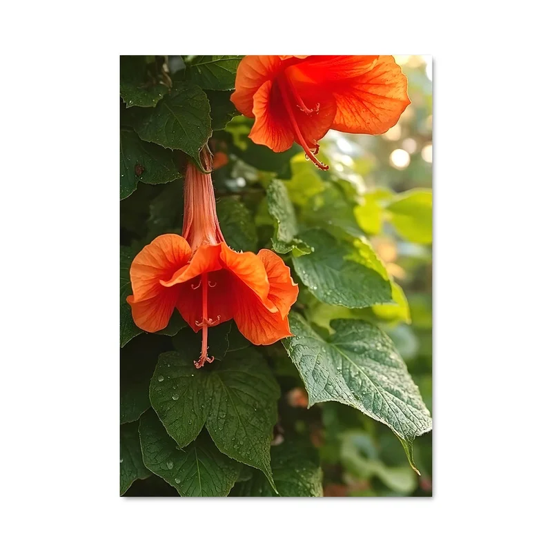 aesthetic-posters21722464