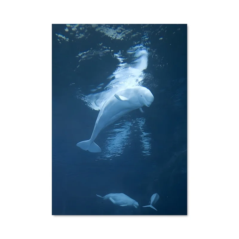 aesthetic-posters31307027