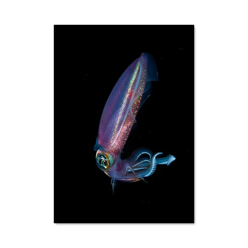 aesthetic-posters31310859