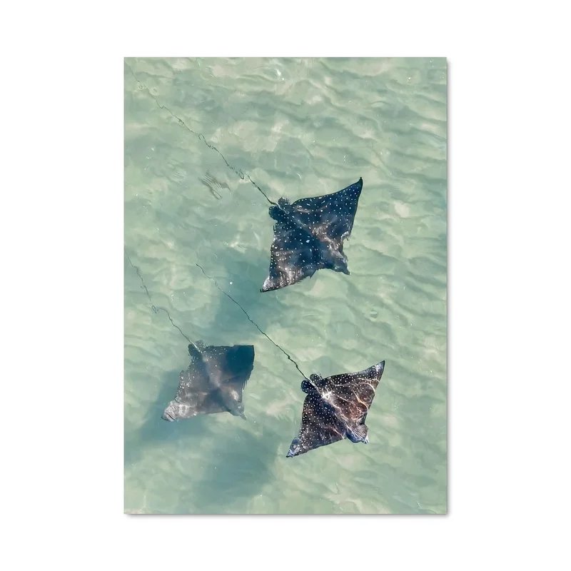 aesthetic-posters31310937