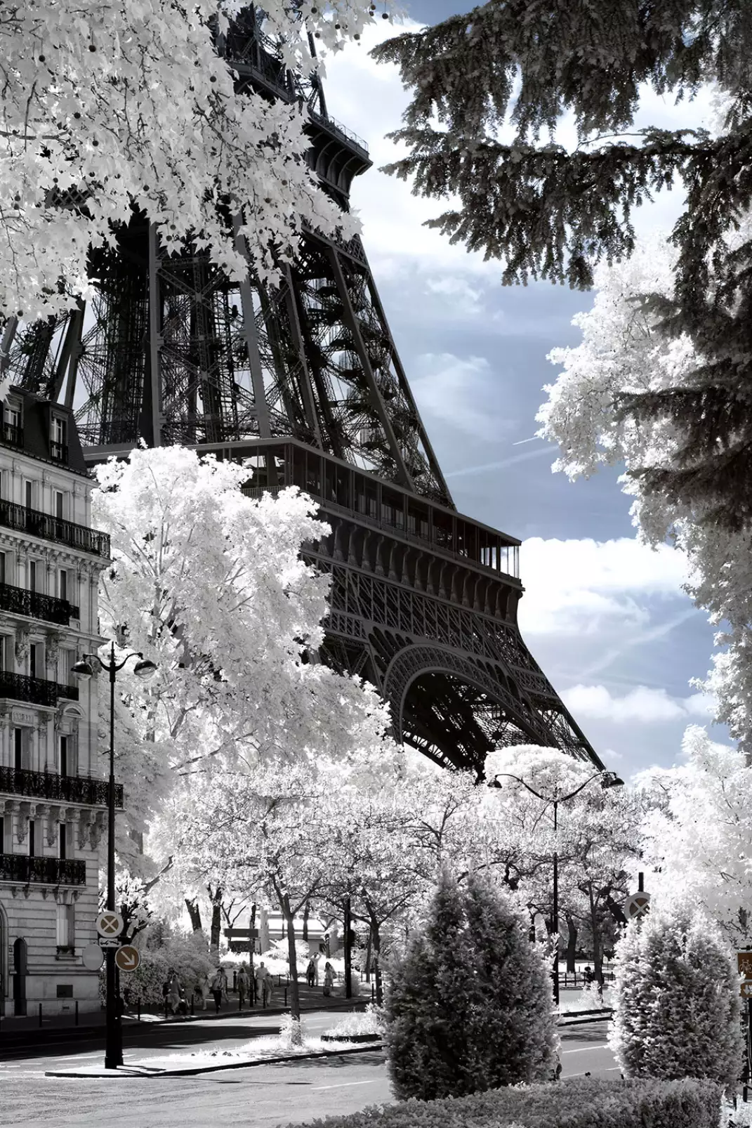 affiches-paris-au-pied-de-mon-arbre-paris