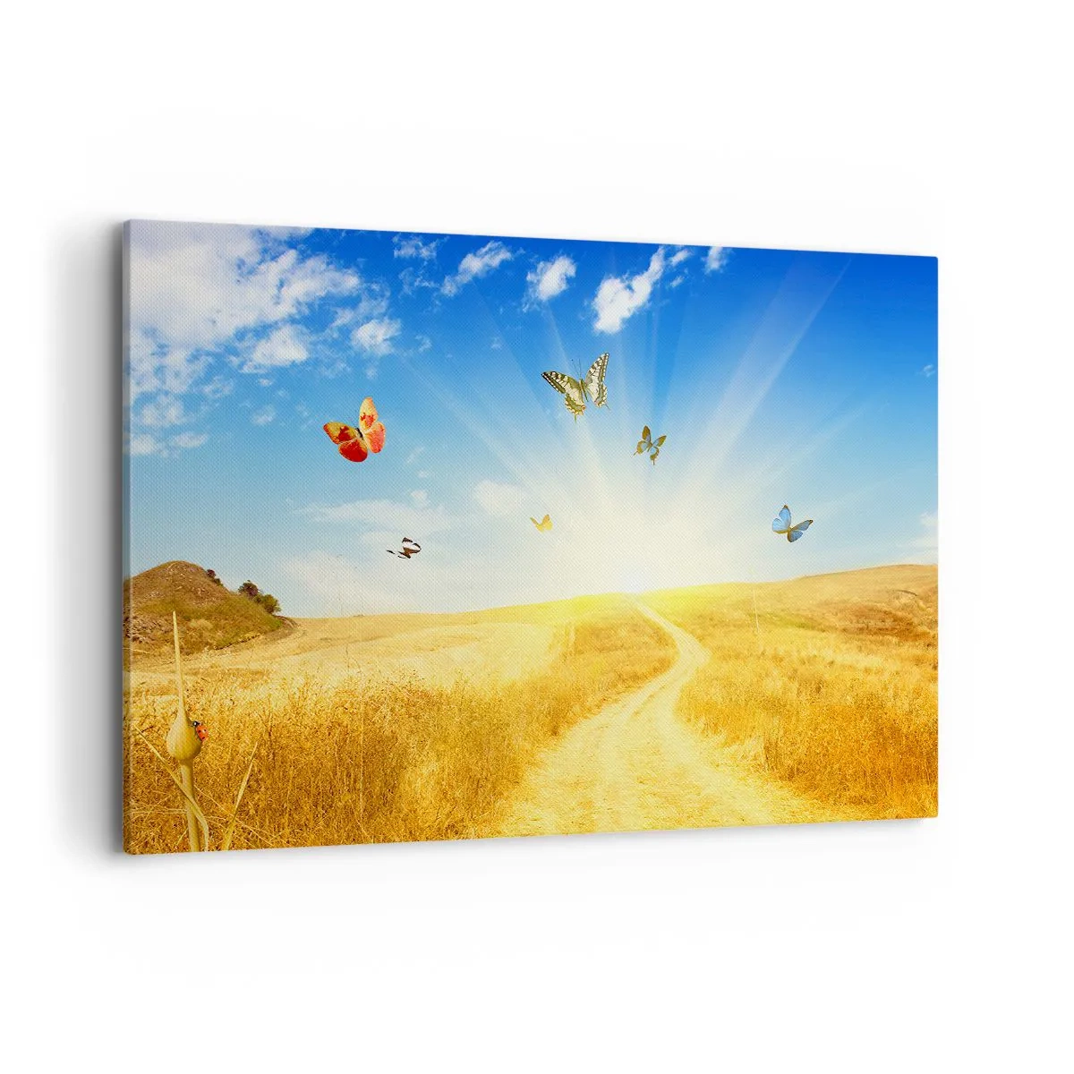 arttor1-1357260