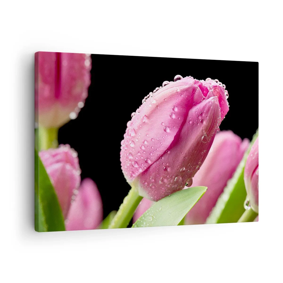 arttor1-1362773