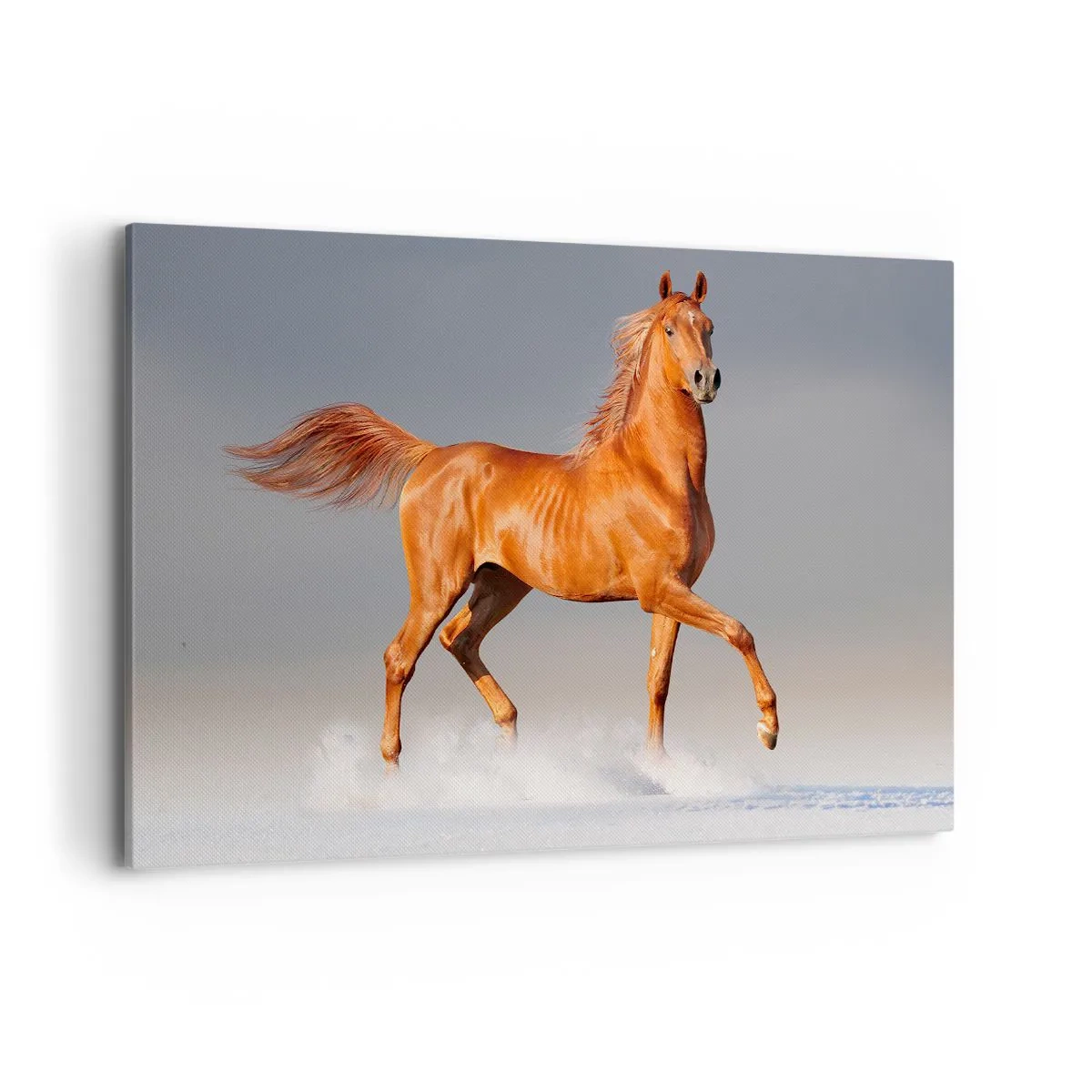 arttor1-1364843