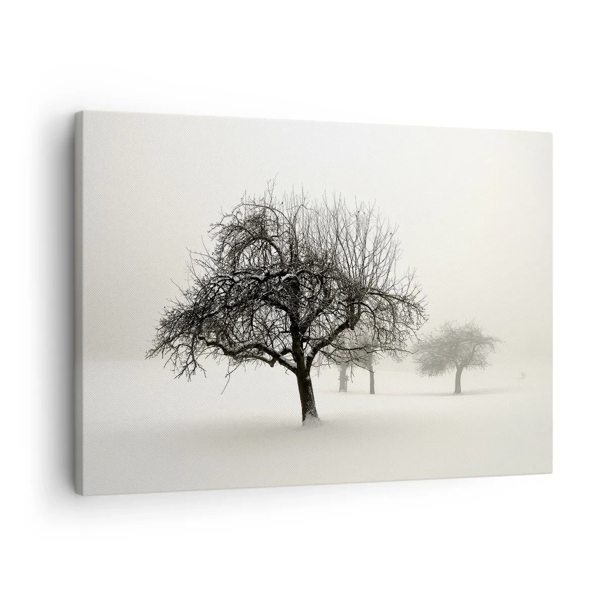 arttor1-1390265