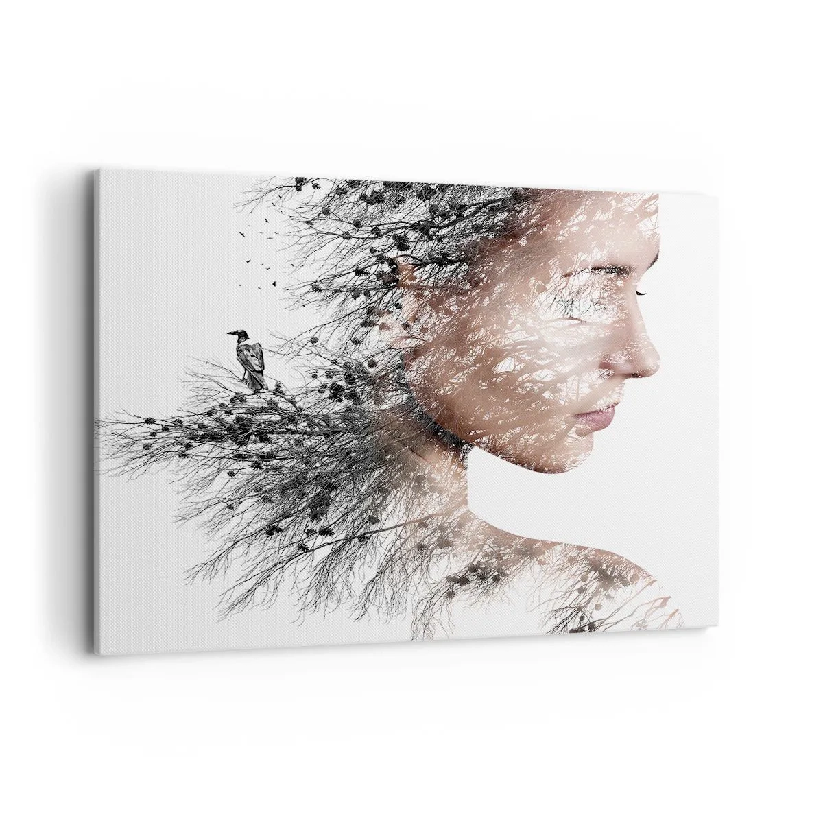 arttor1-1393810