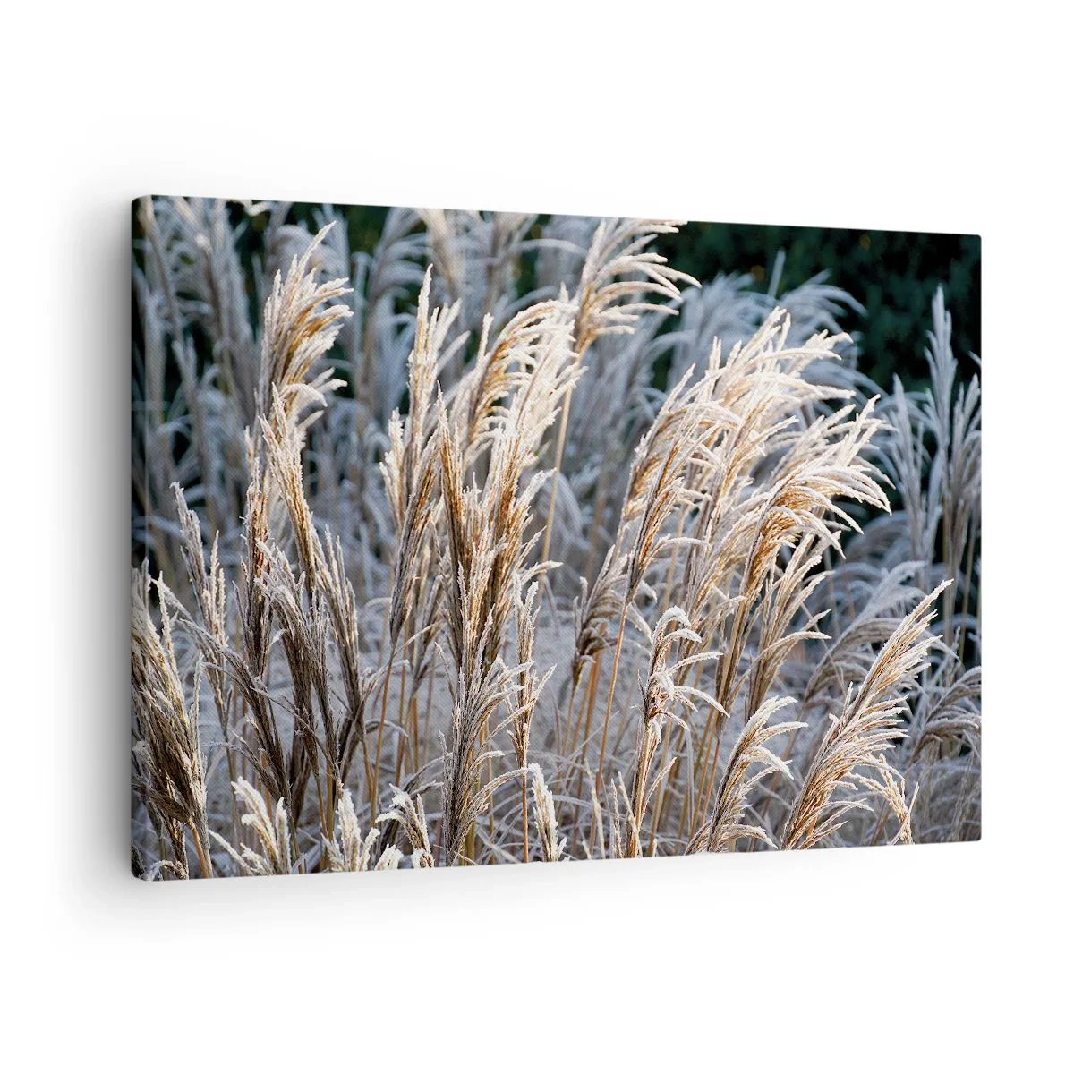 arttor1-1396862