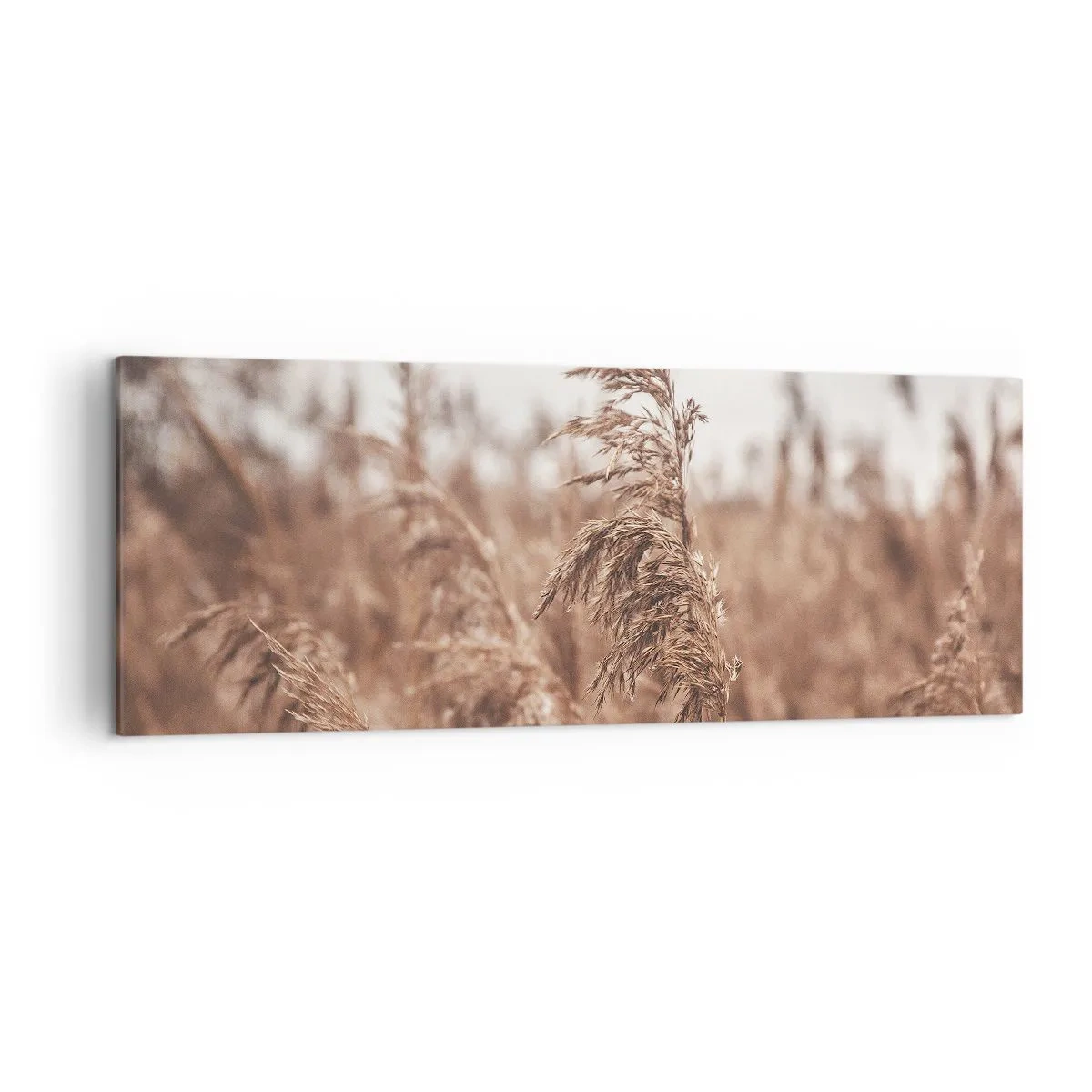 arttor1-1400359