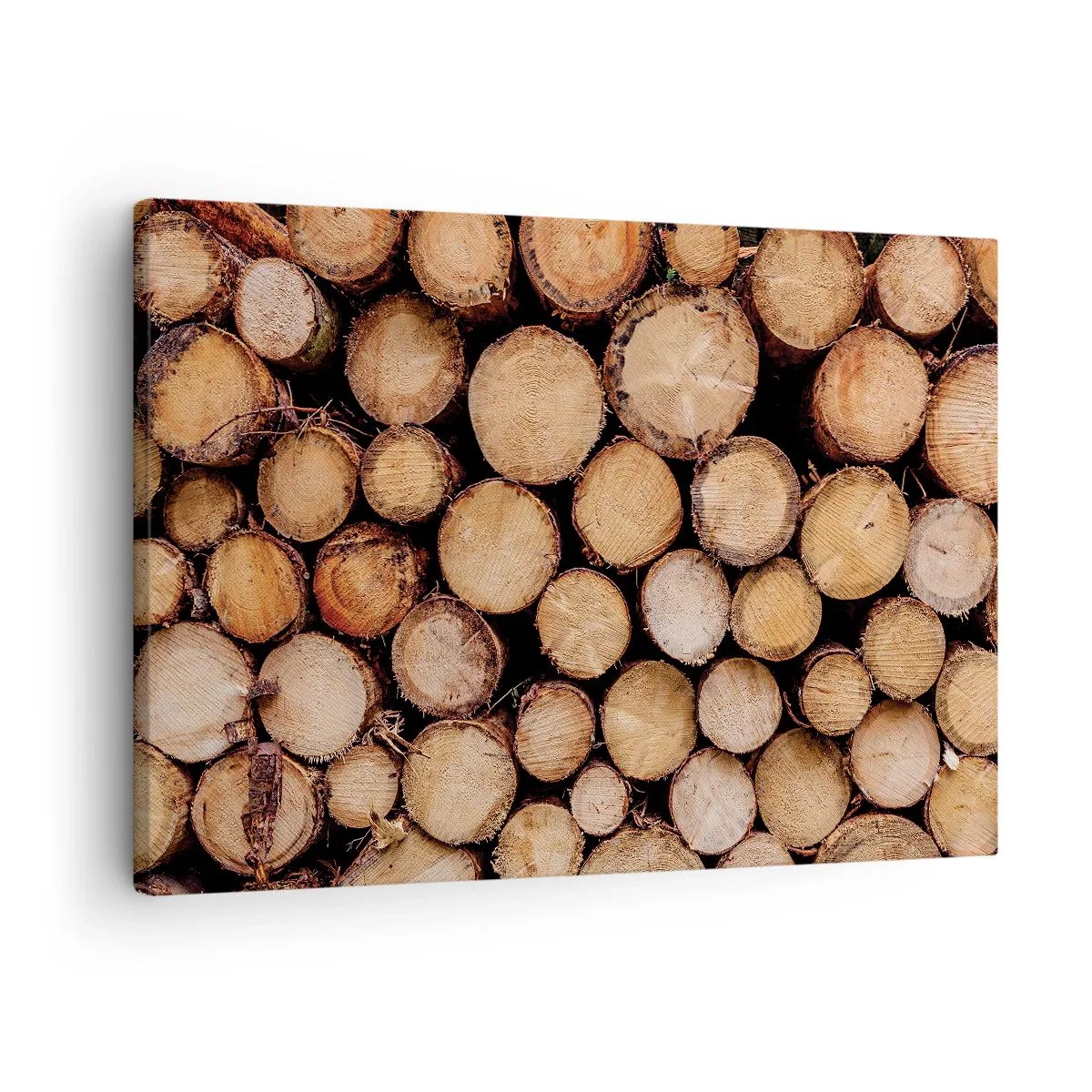 arttor1-1403525