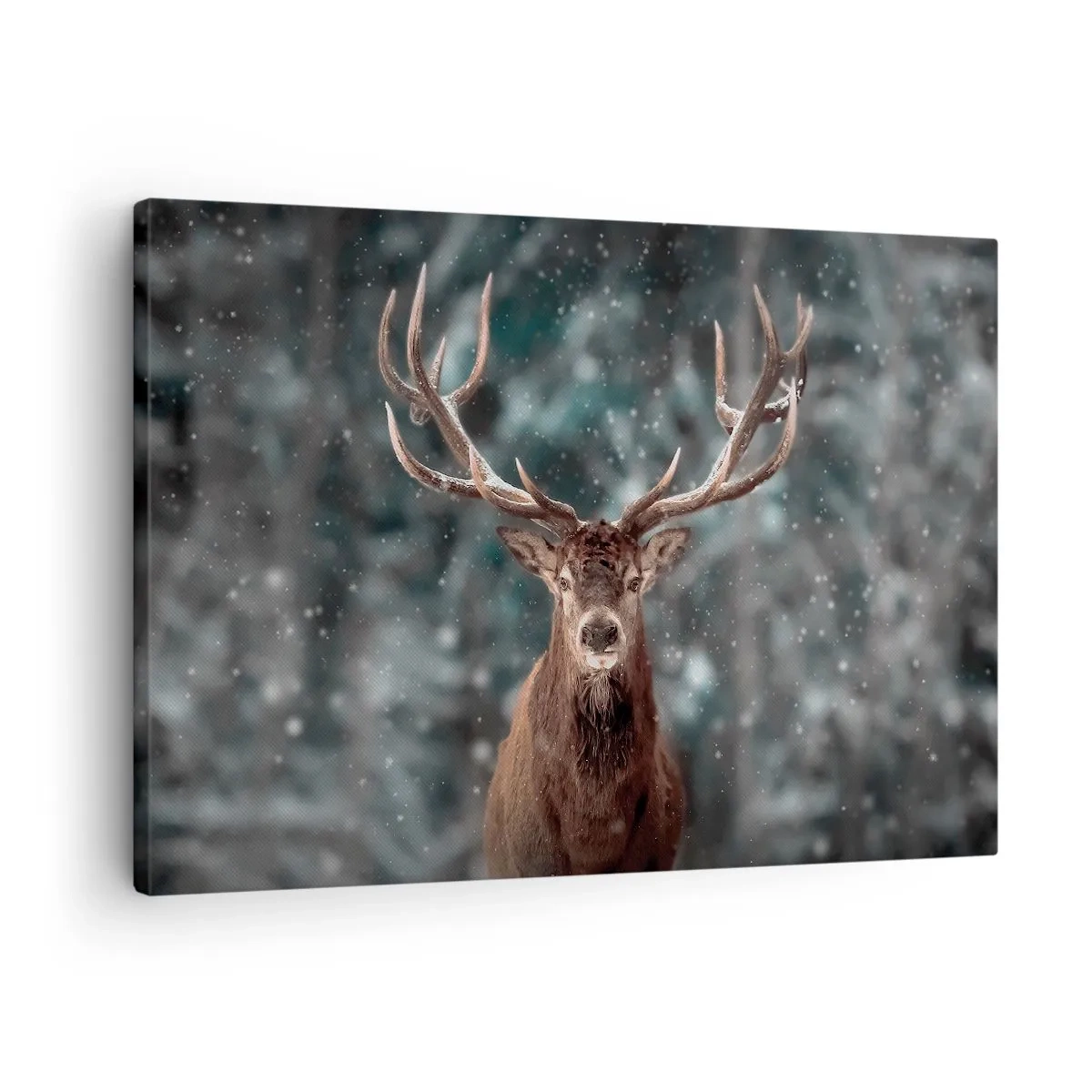 arttor1-1406312