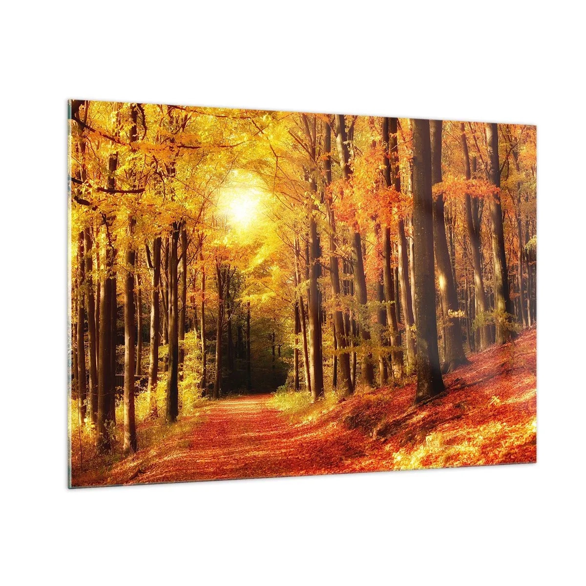 arttor1-1410827