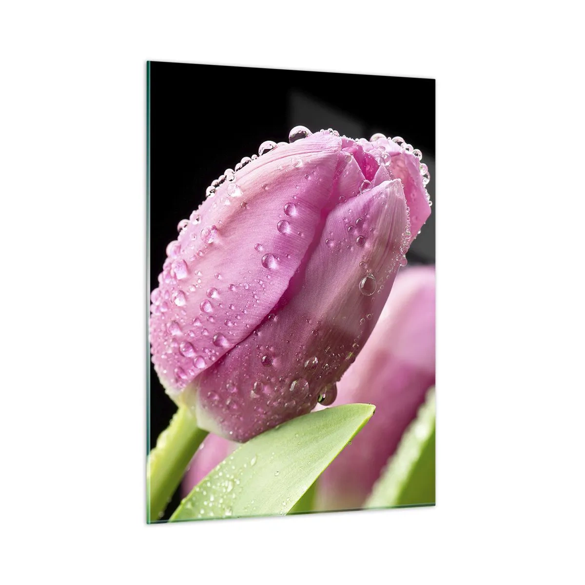 arttor1-1422541
