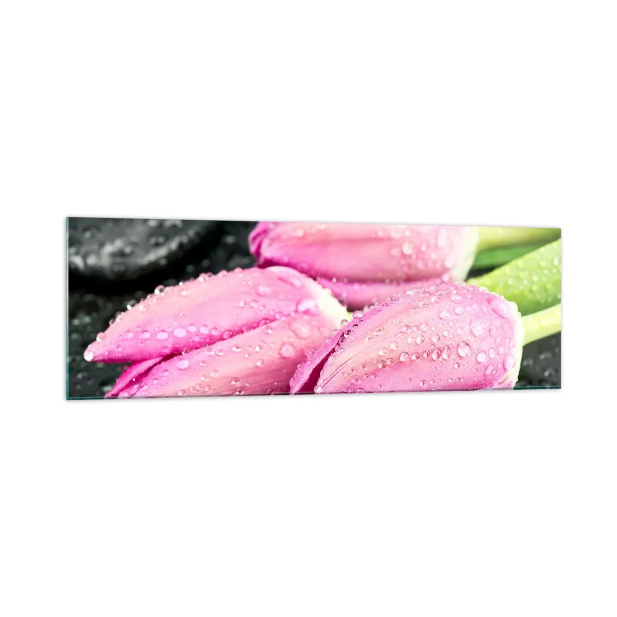 arttor1-1422600