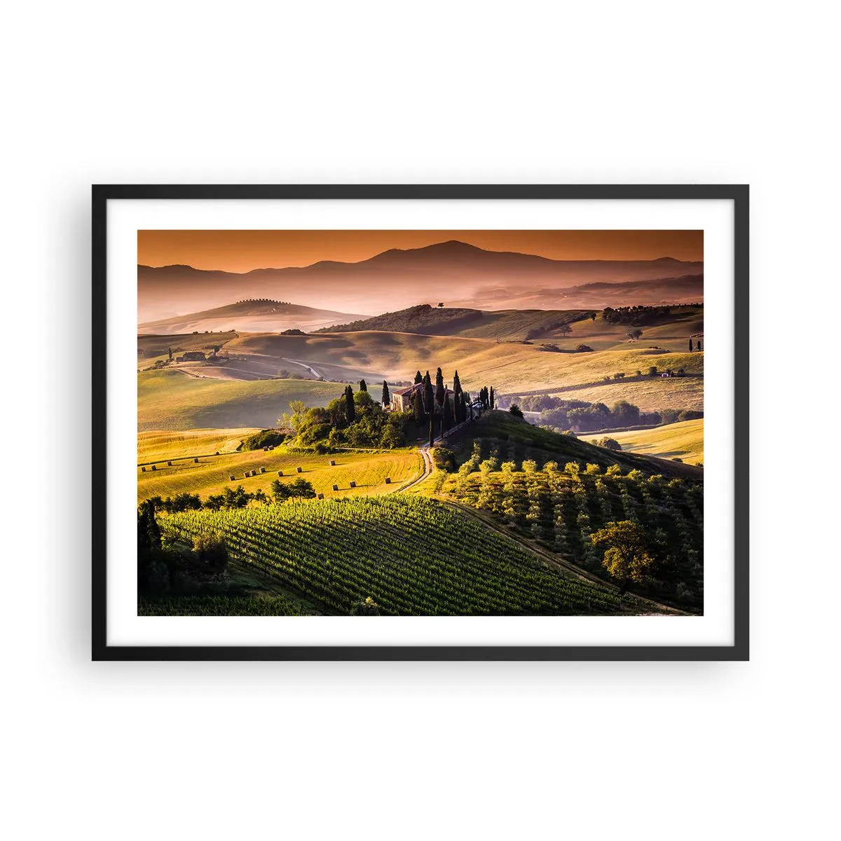 arttor1-1432483