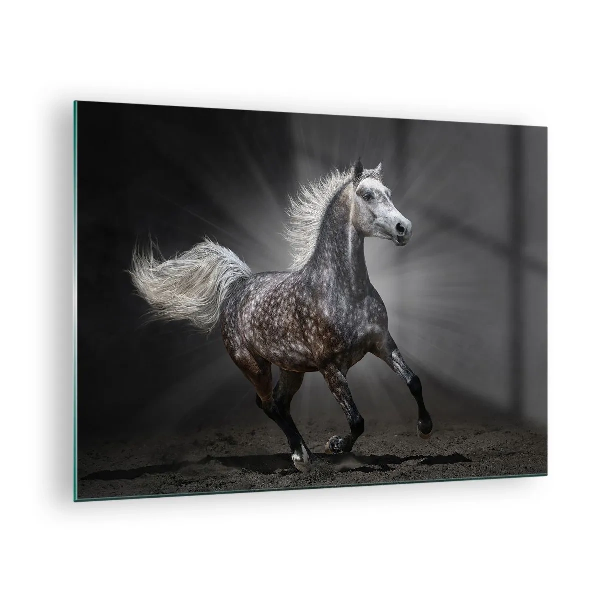 arttor1-1450468