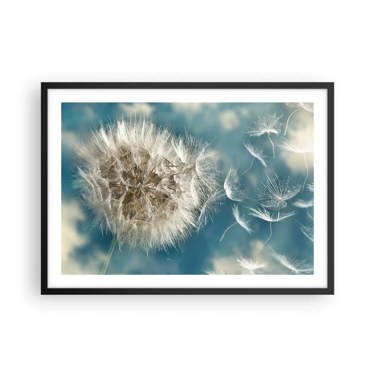 arttor1-1455366