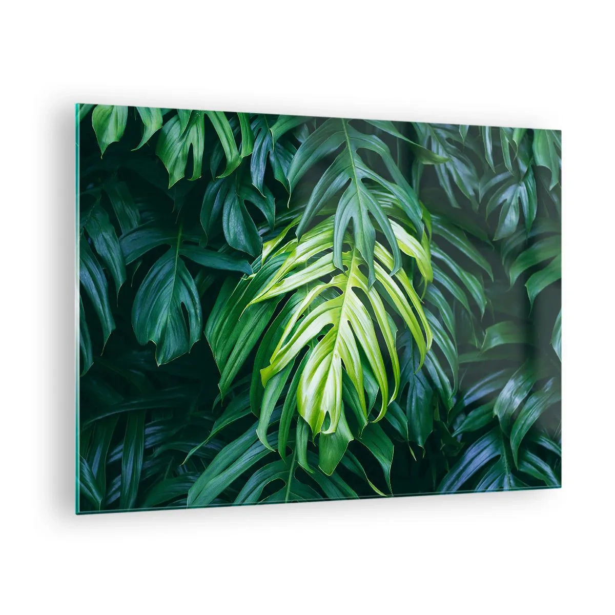 arttor1-1459104