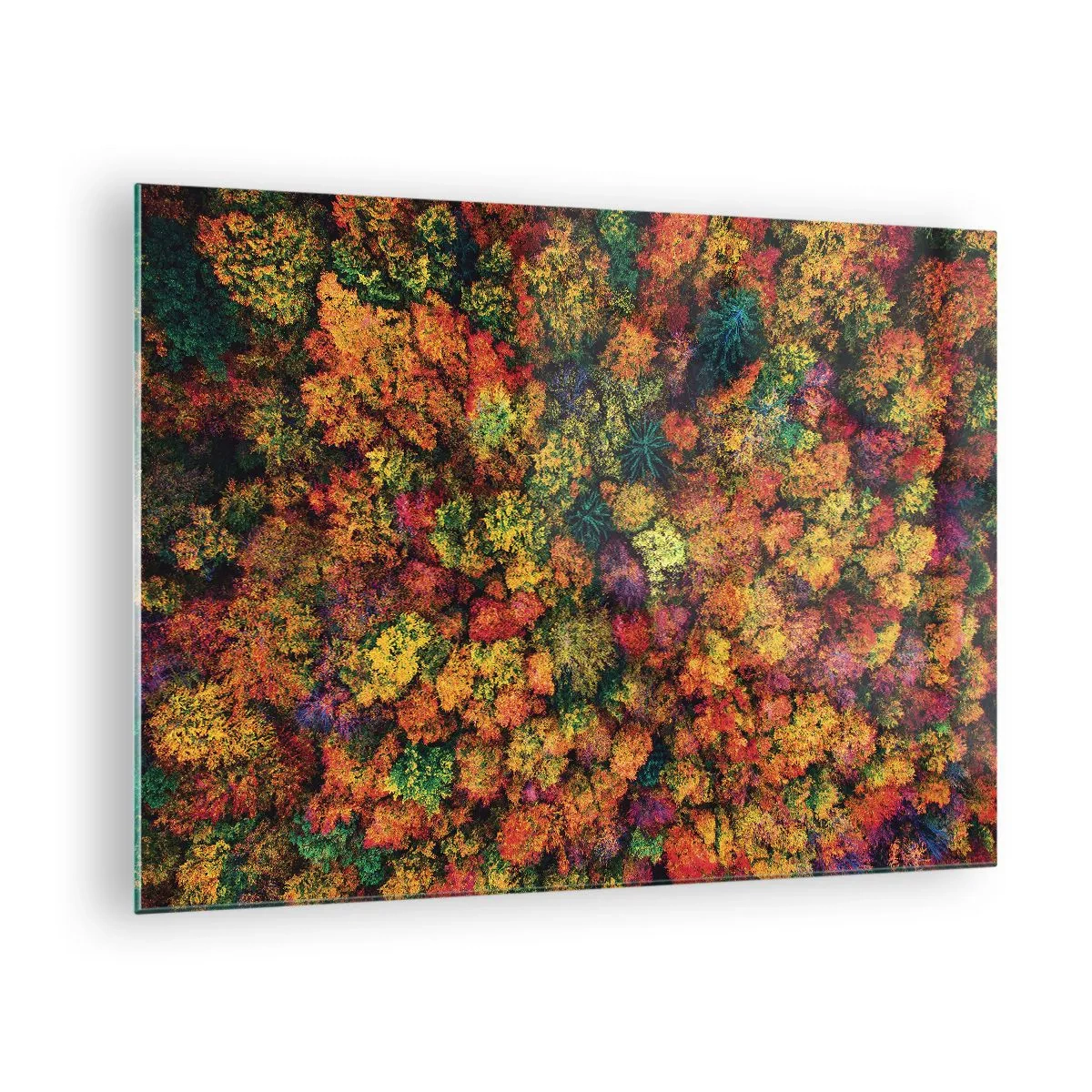 arttor1-1463531