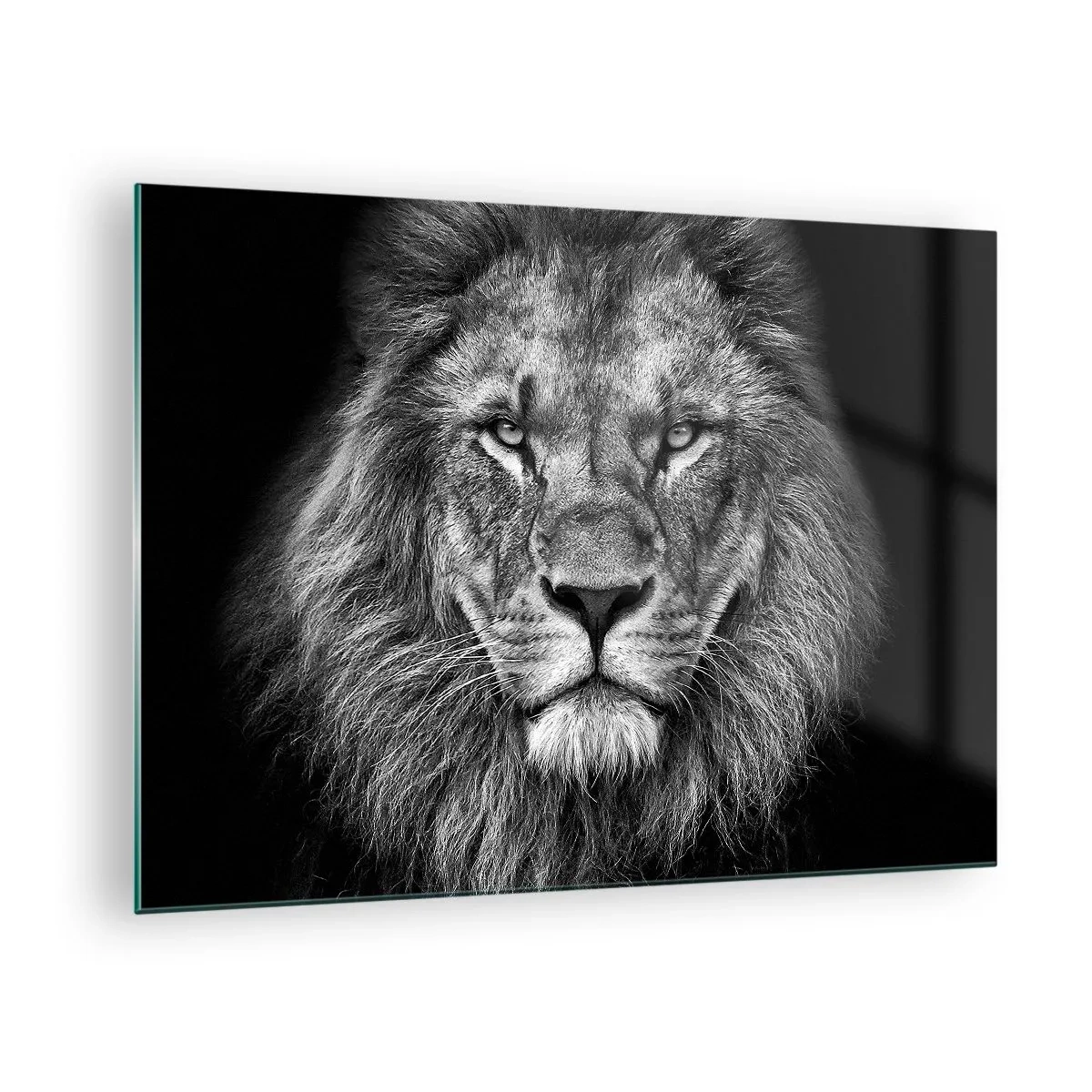 arttor1-1463667