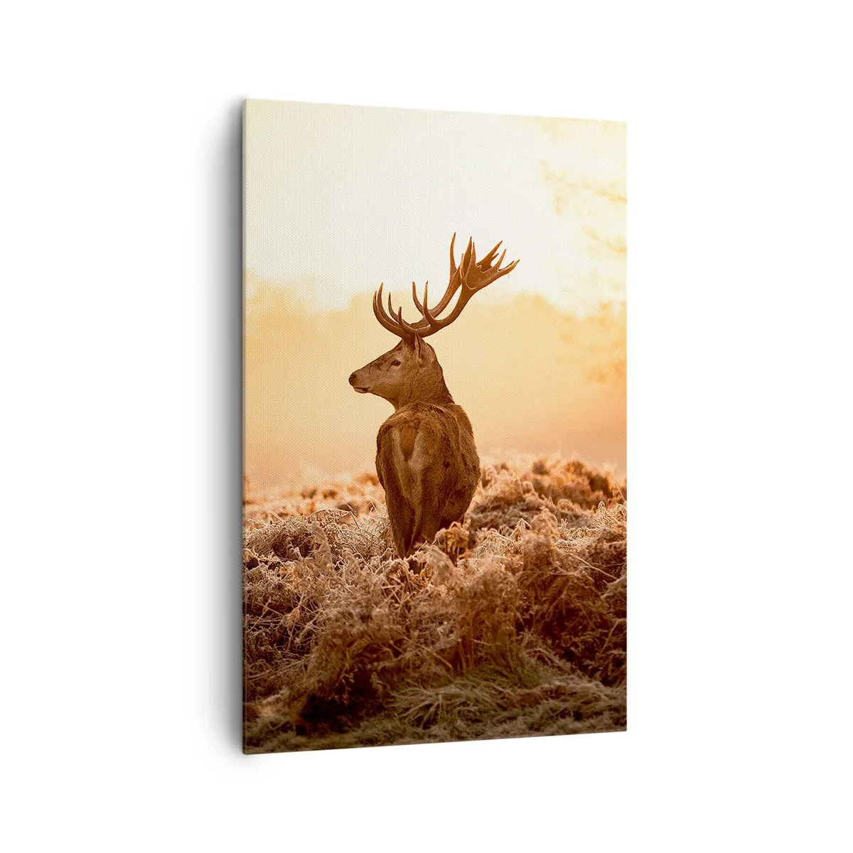 arttor2-1824004