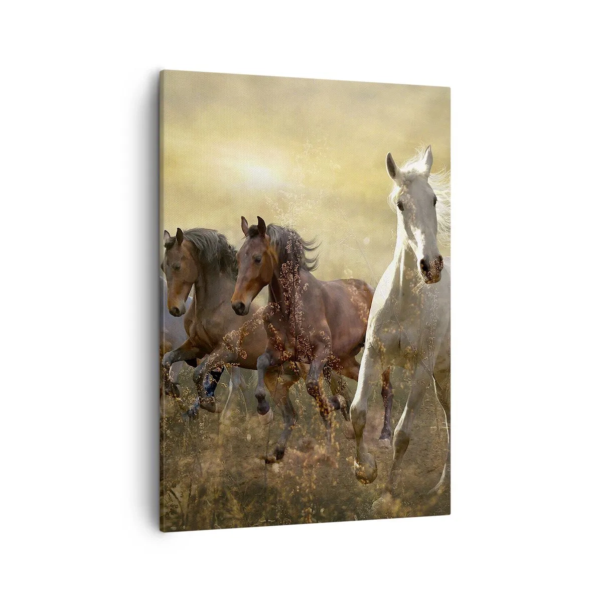 arttor2-1824080