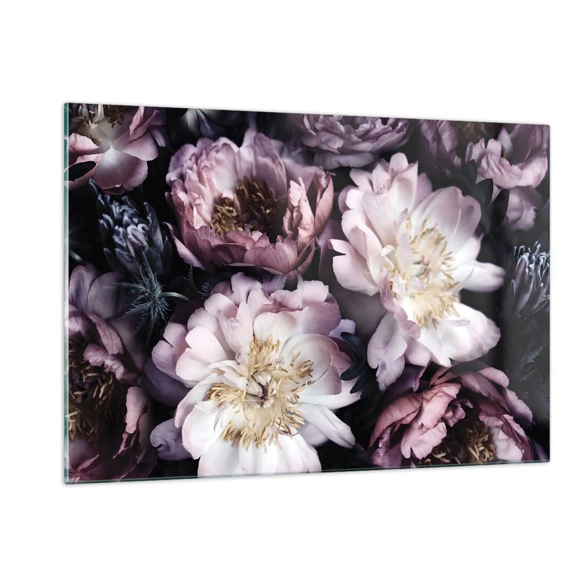 arttor2-217230
