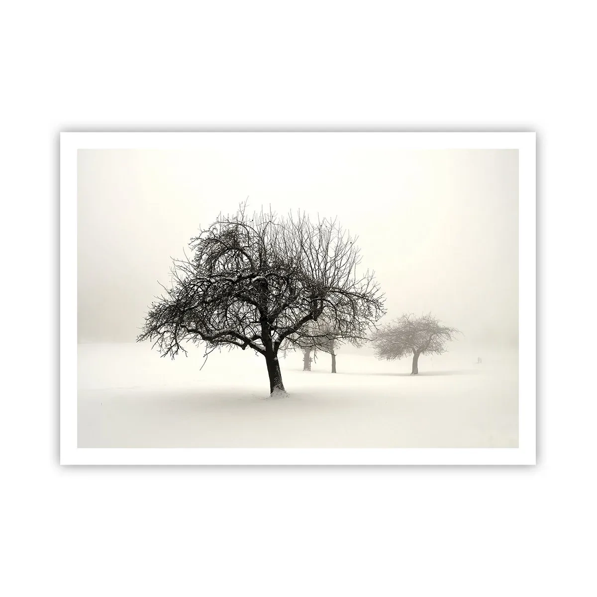 arttor2-220046