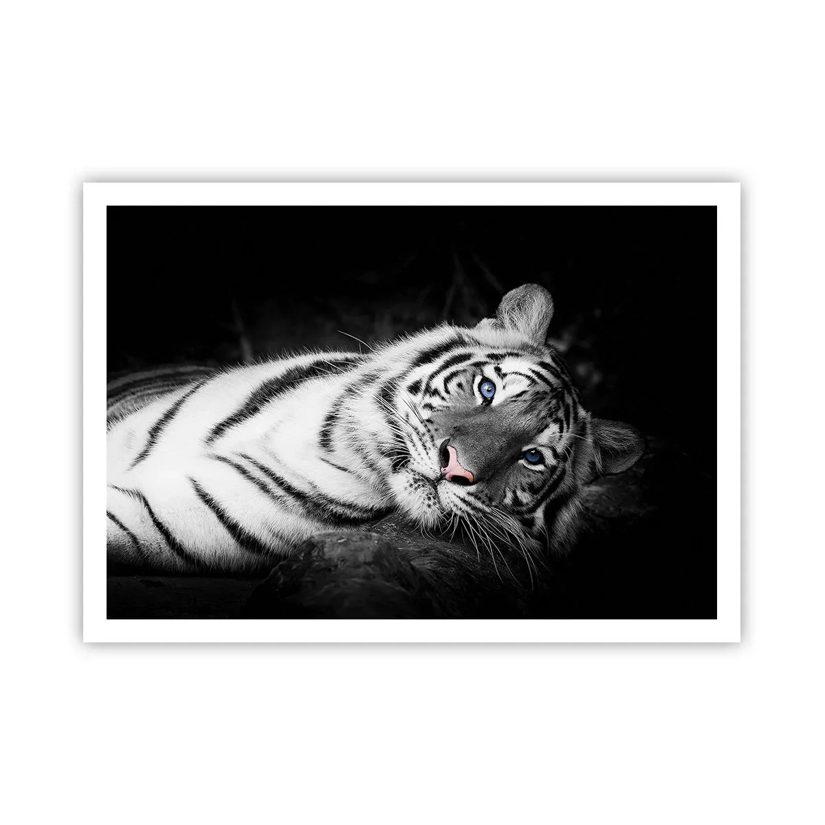 arttor2-224805