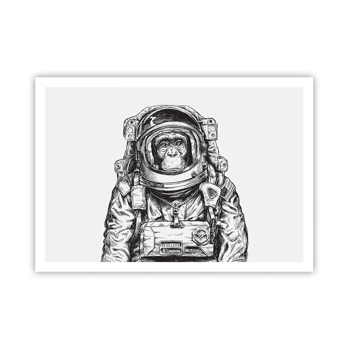 arttor2-228378