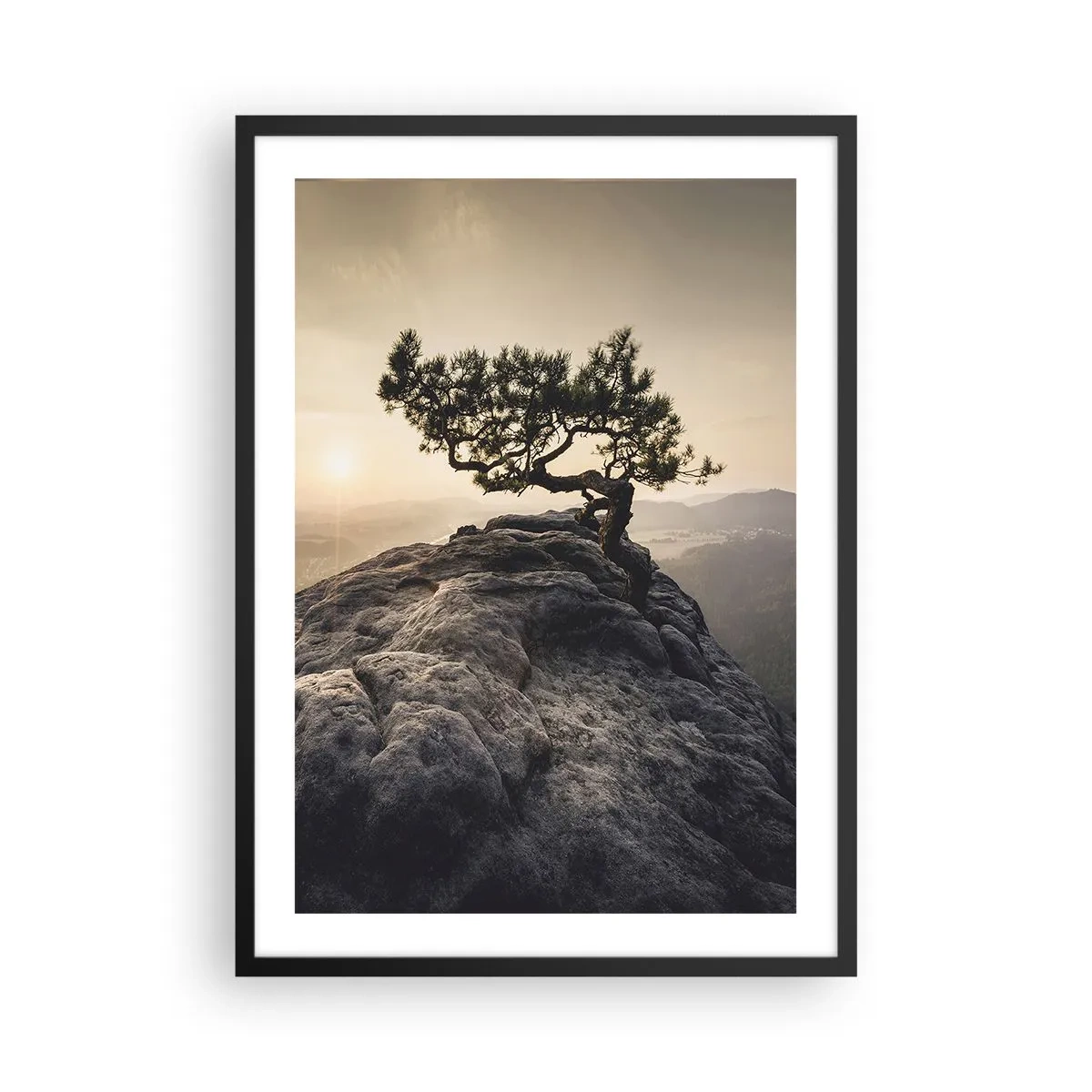 arttor2-229624