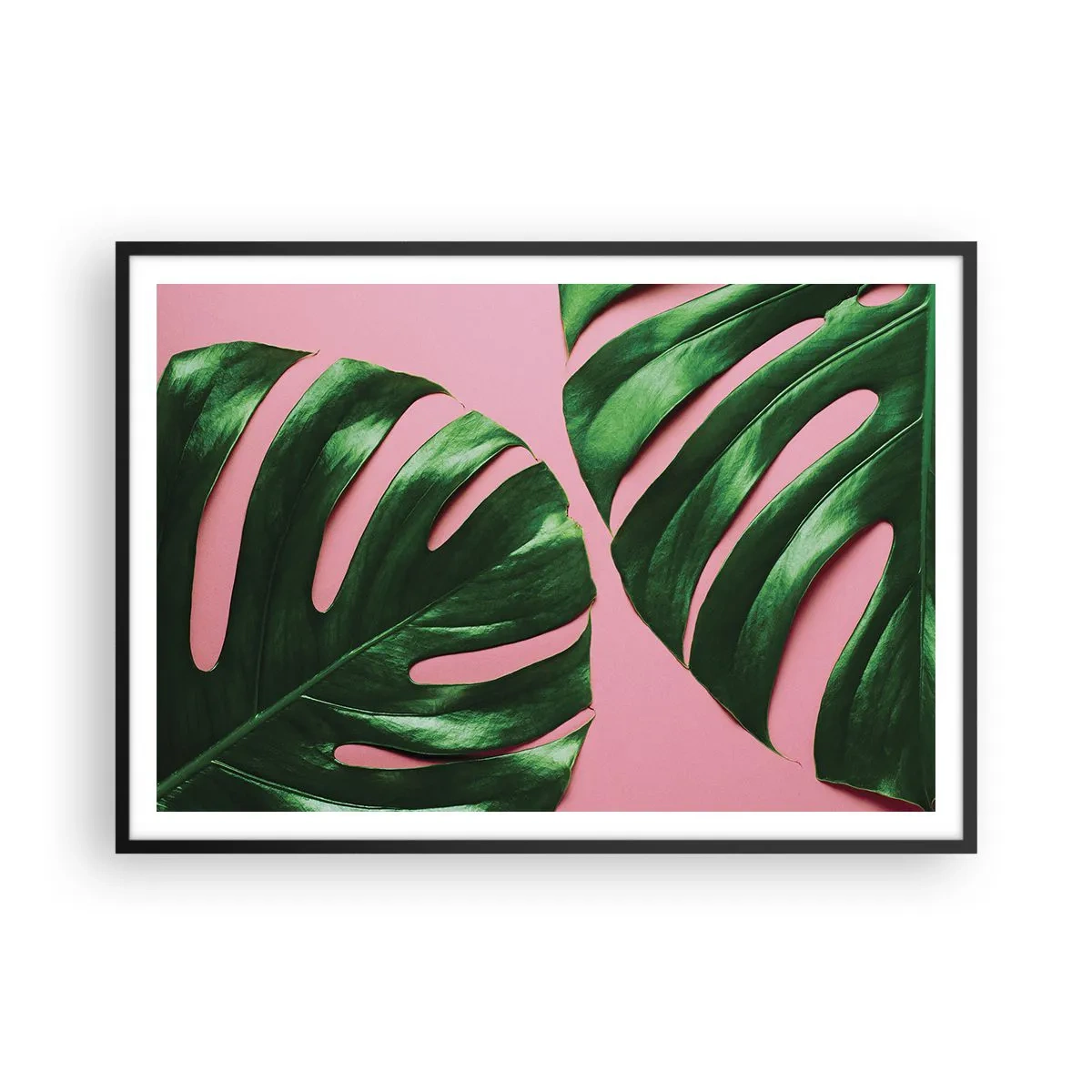 arttor2-233453