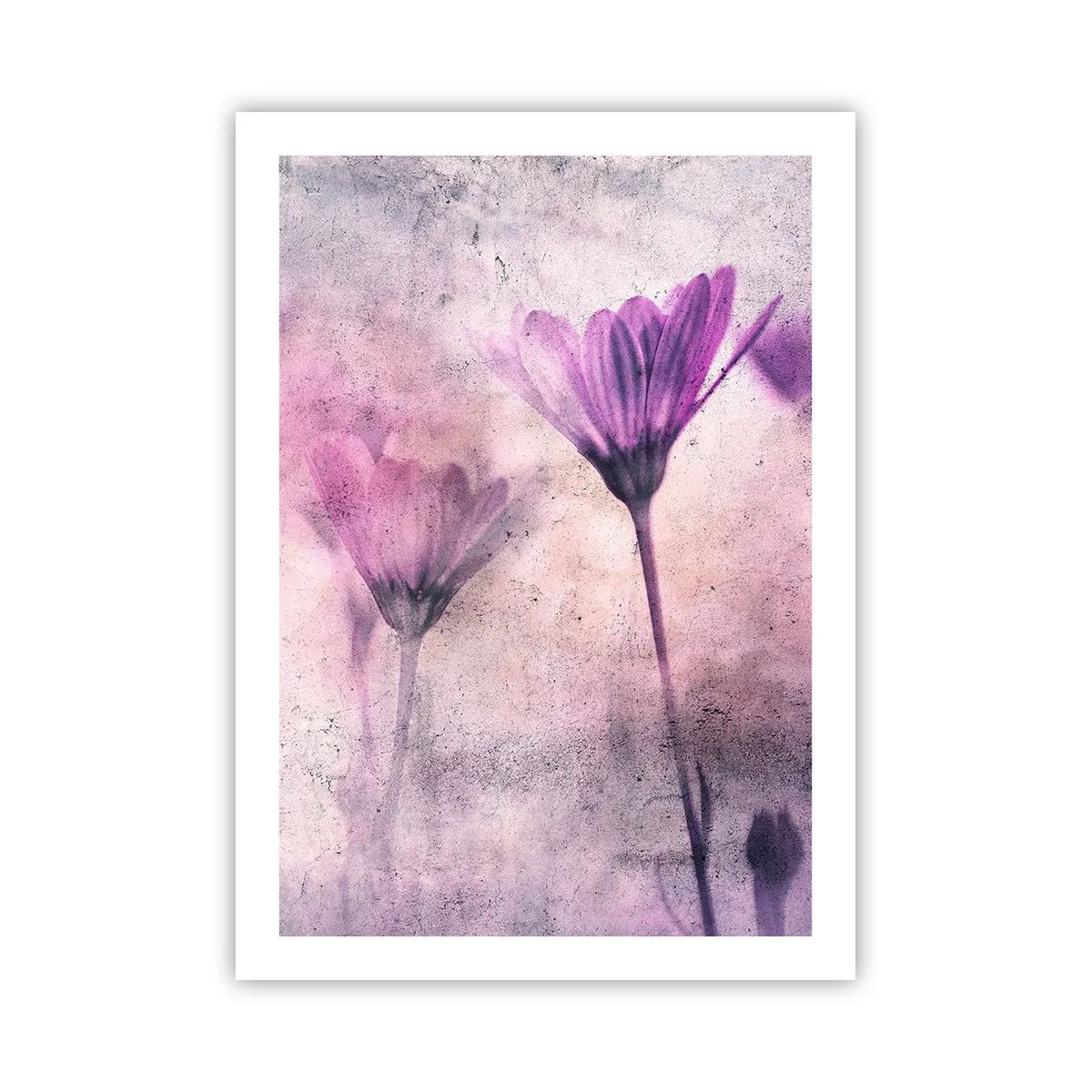 arttor2-234047