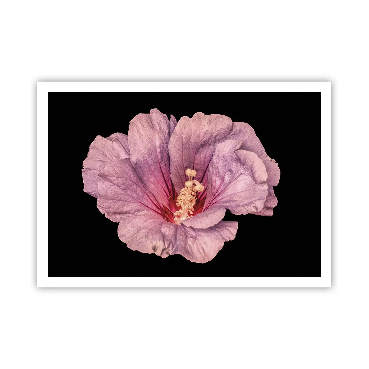 arttor2-235379