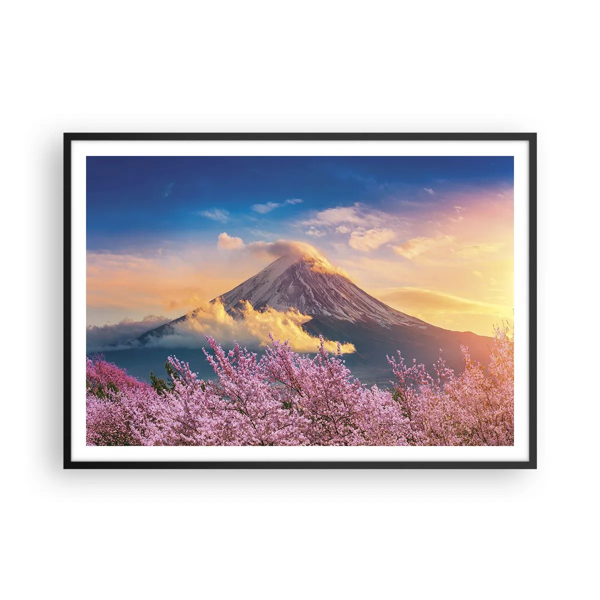 arttor2-235596